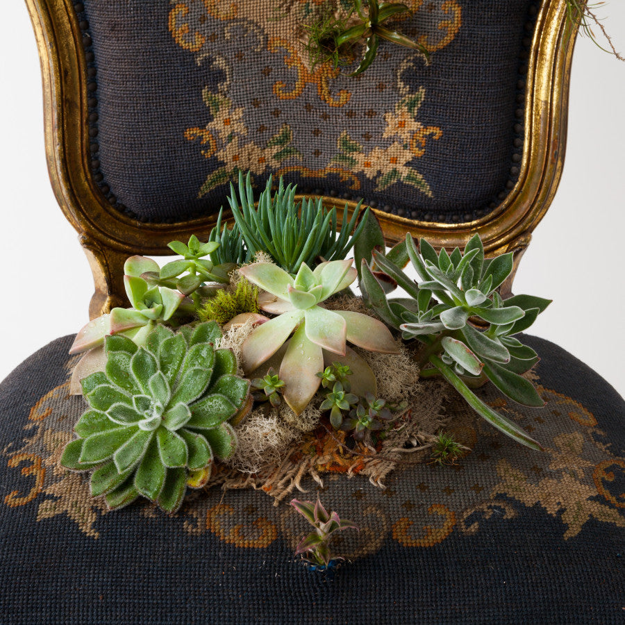 Tout confort (da série mobília tomada)