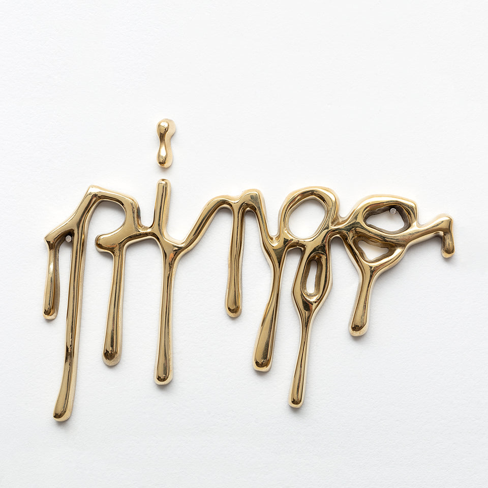 Shirley Paes Leme, Microscópio