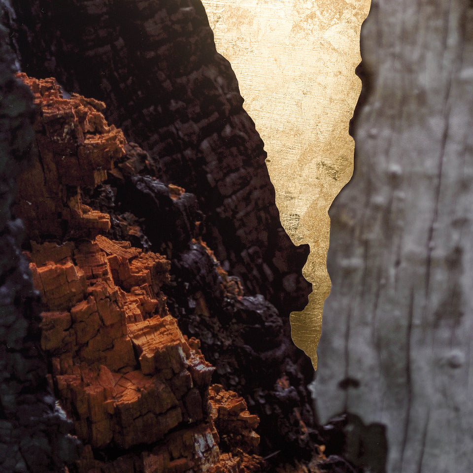 Fernanda Naman, Sem título