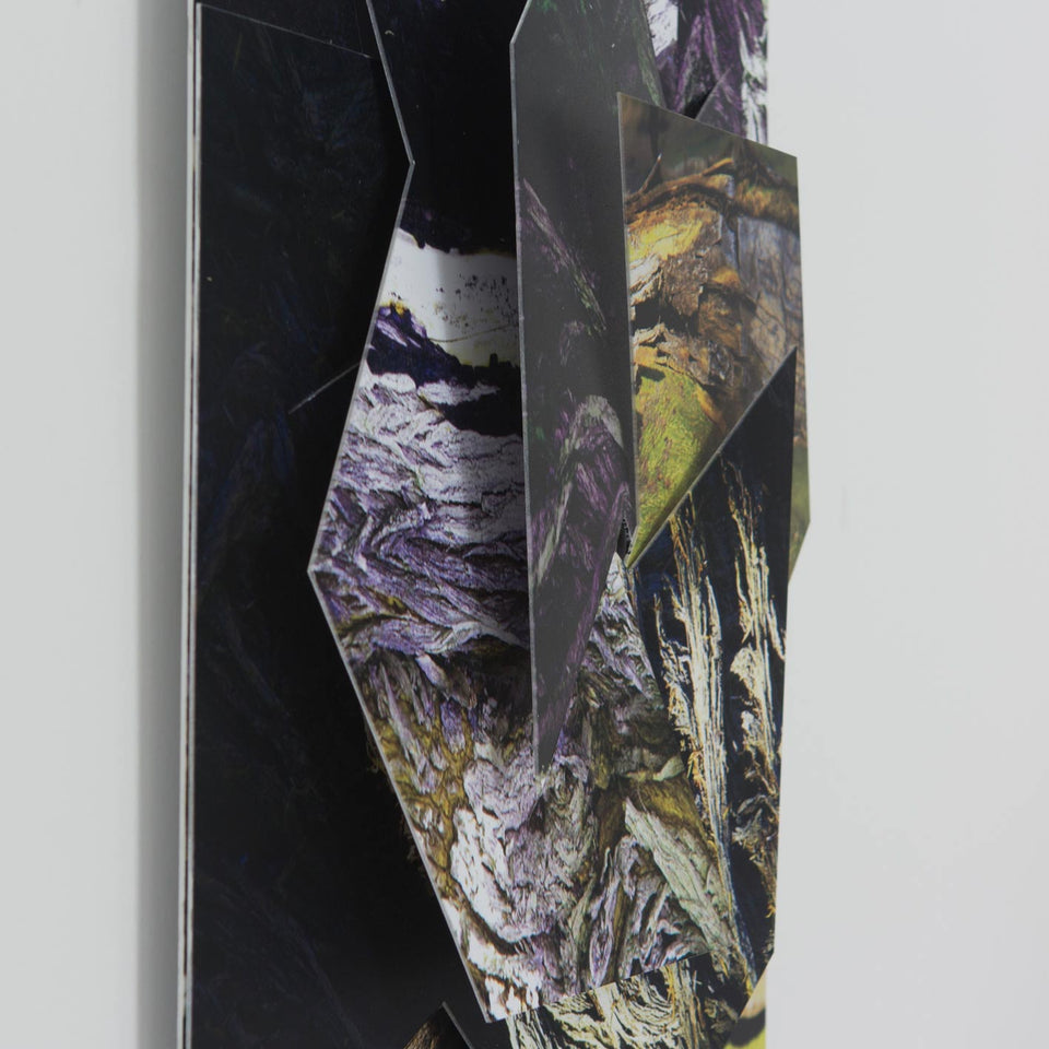 Sem título, Carlos Vergara