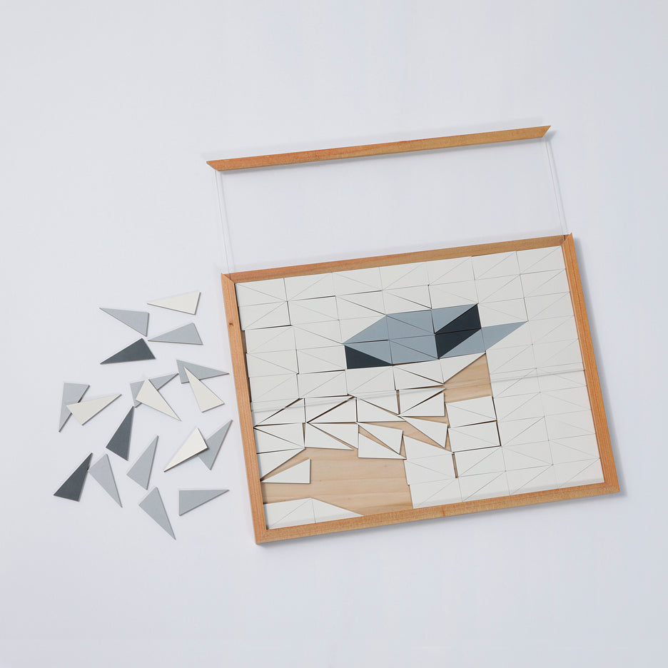 Chão ou vão, Felipe Cohen