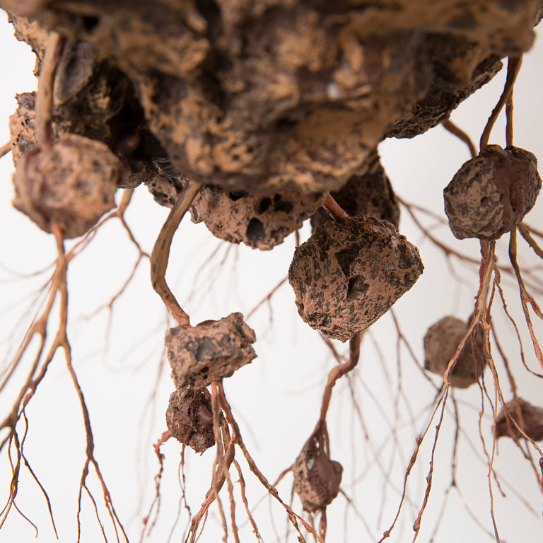 Jorge Mayet, Sem título