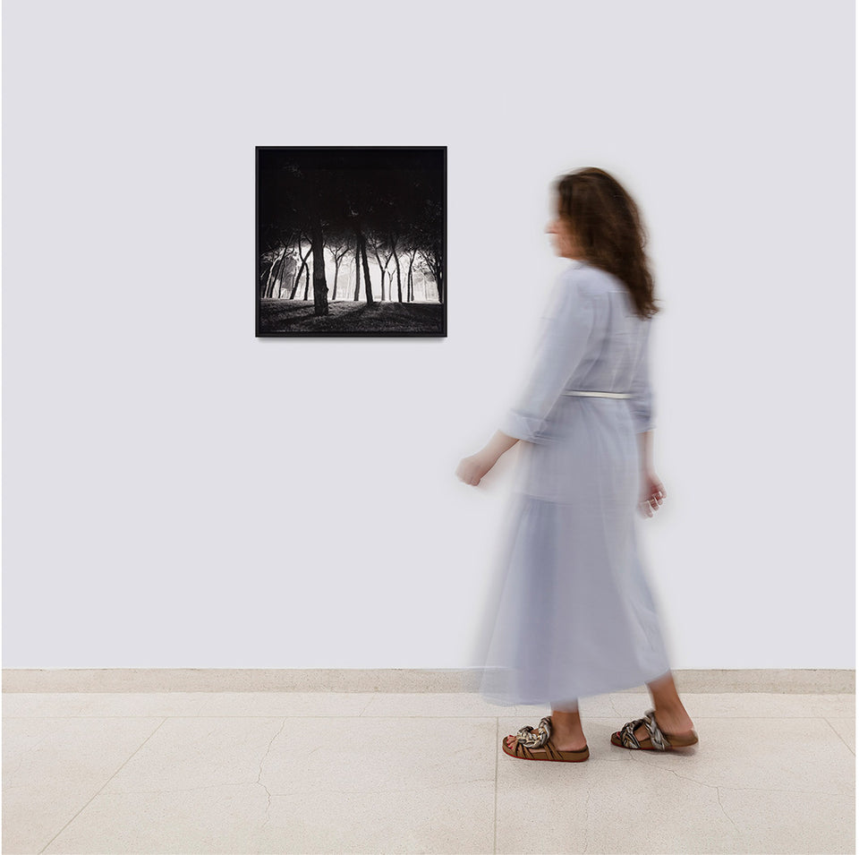 Sant’Elena - Luiza Baldan