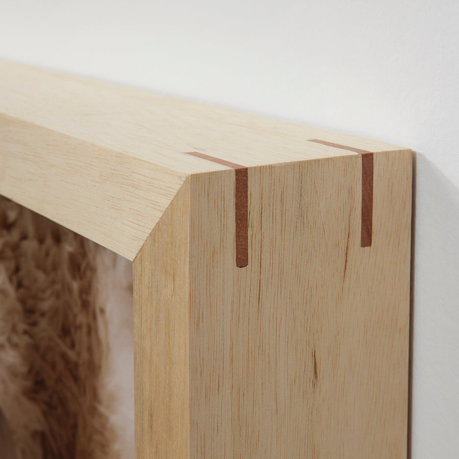 Nino Cais, Sem título