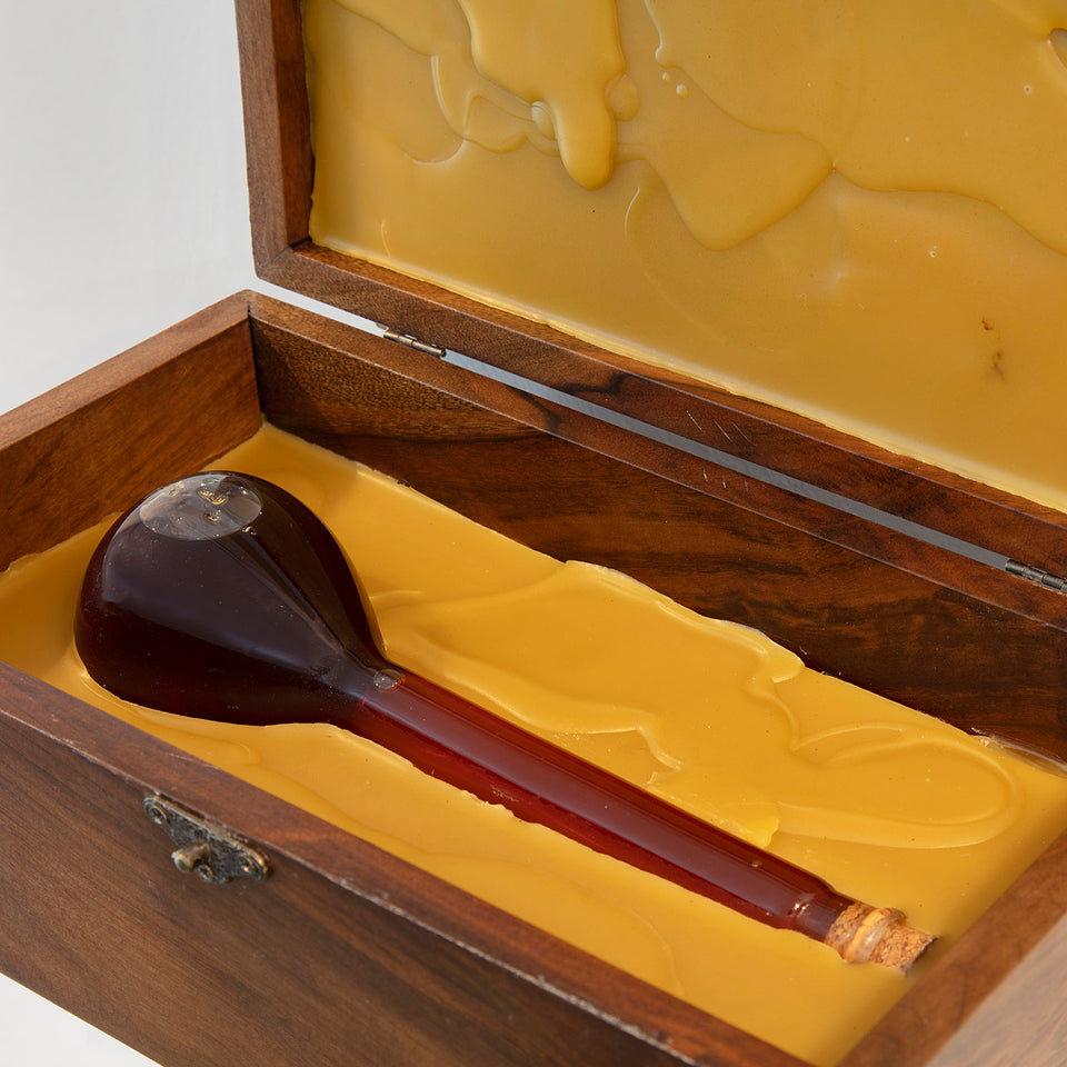 Projeto polinização - Siri