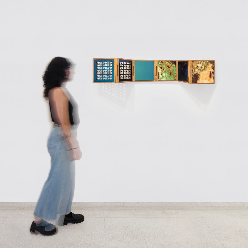 Eu e Você (da série Caixa Cobra)