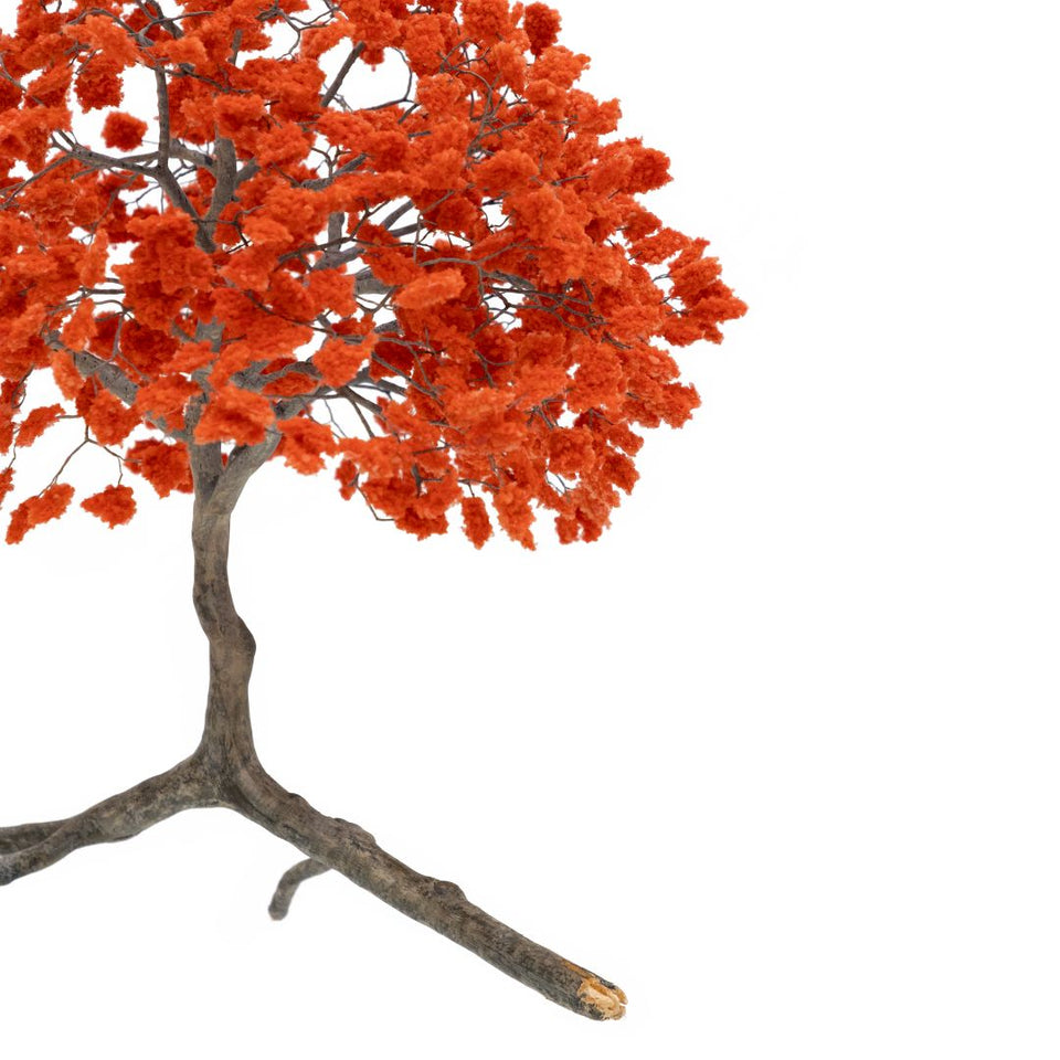 Metamorfosis de las ramas caídas (vermelho)