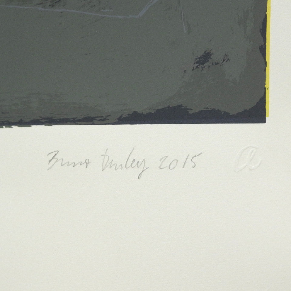 Bruno Dunley, Sem título