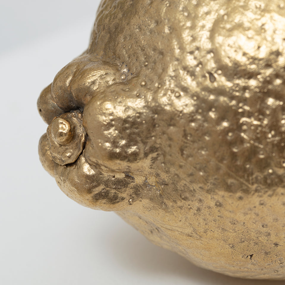 carlos nunes, objeto acrômico (limão)