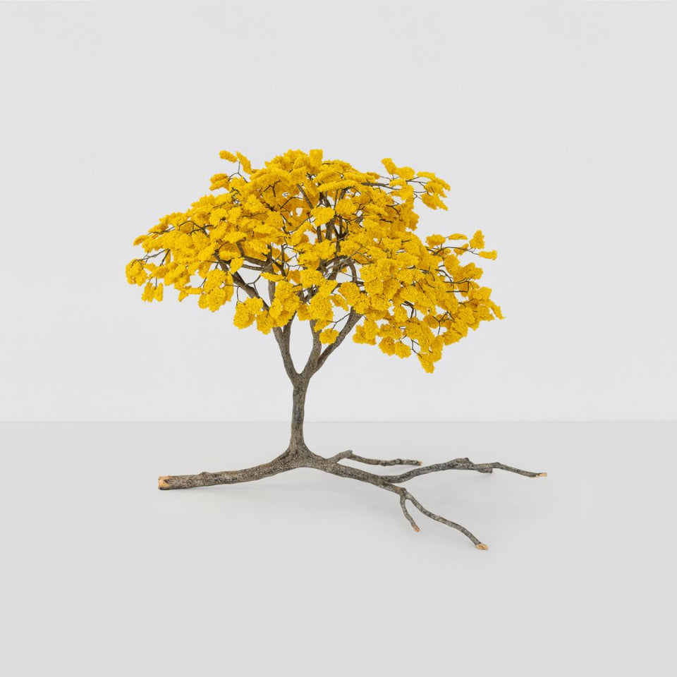 Metamorfosis de las ramas caídas (amarelo)