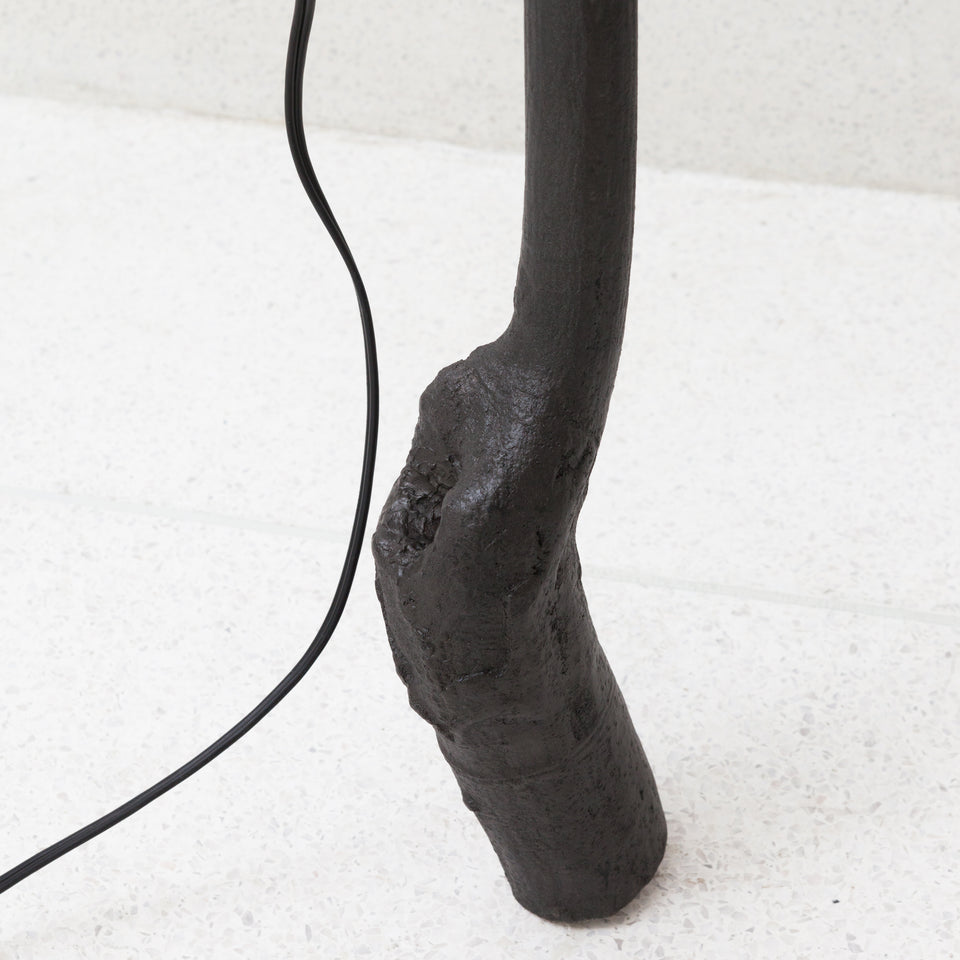 Daniel Senise, Luminária Parque Lage