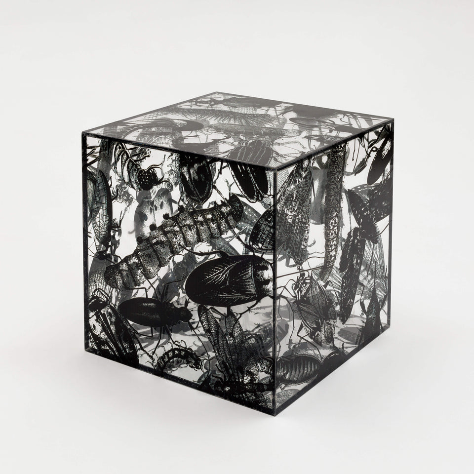 Regina Silveira, NINHO (black)