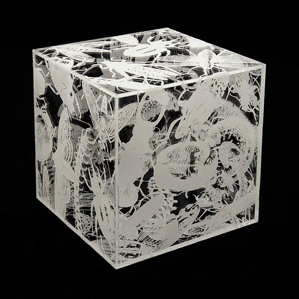 Regina Silveira, NINHO (white)