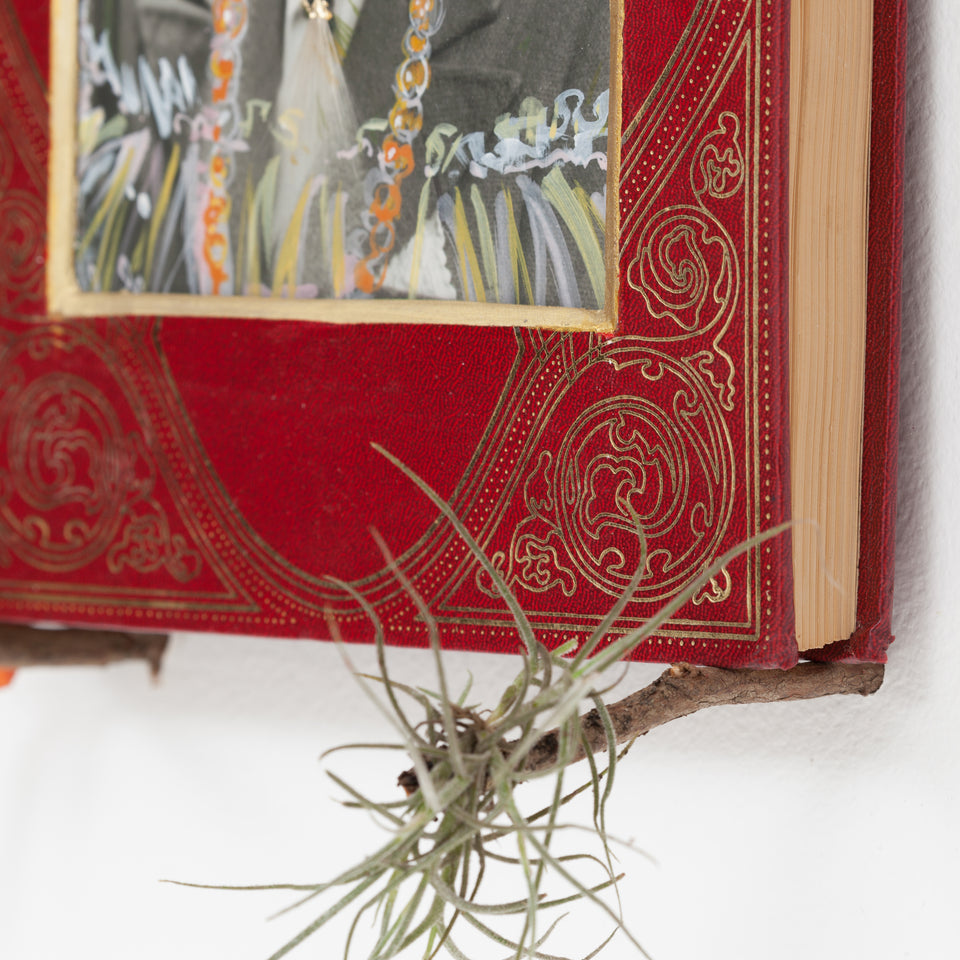 Rodrigo Bueno, Das almas