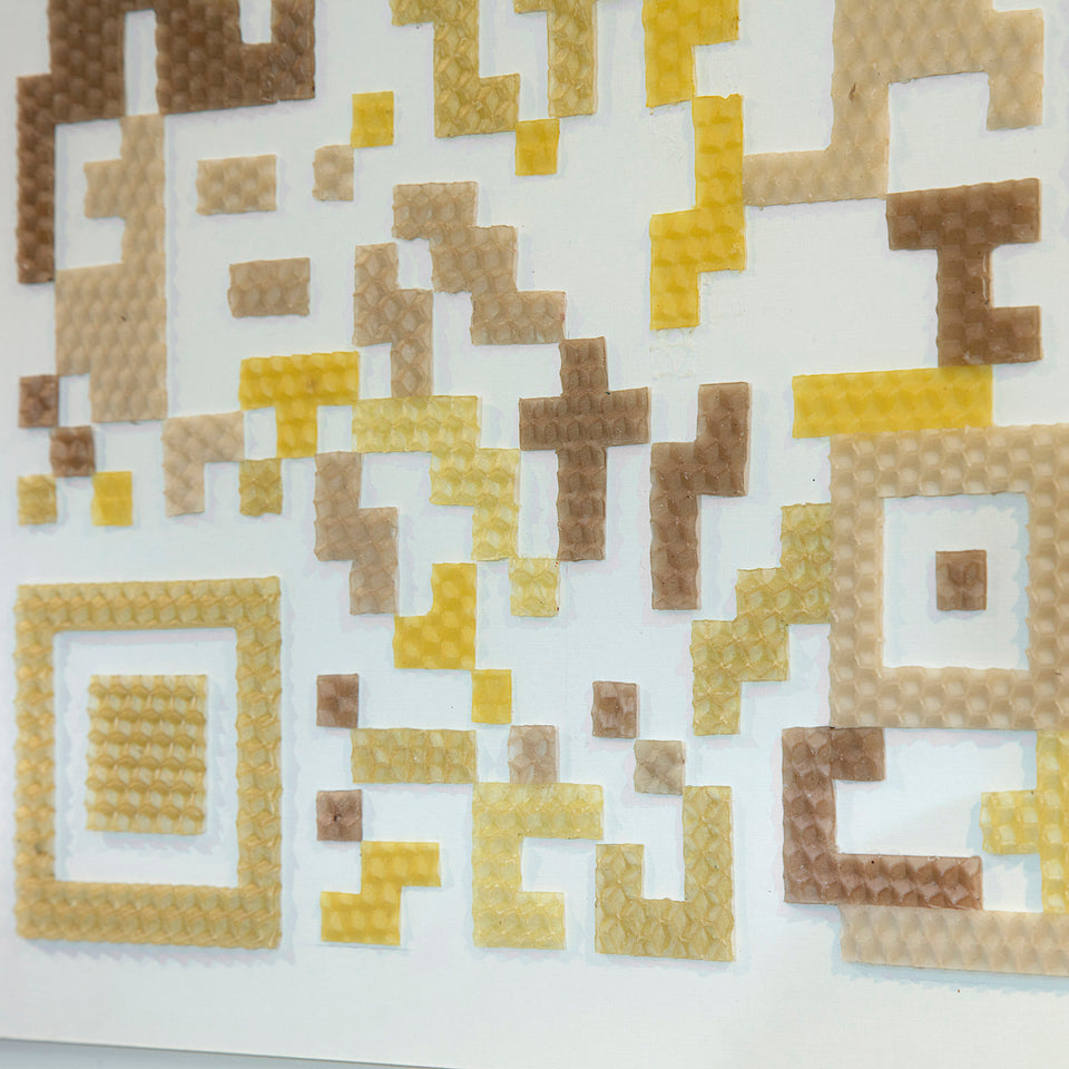 Projeto polinização - Siri