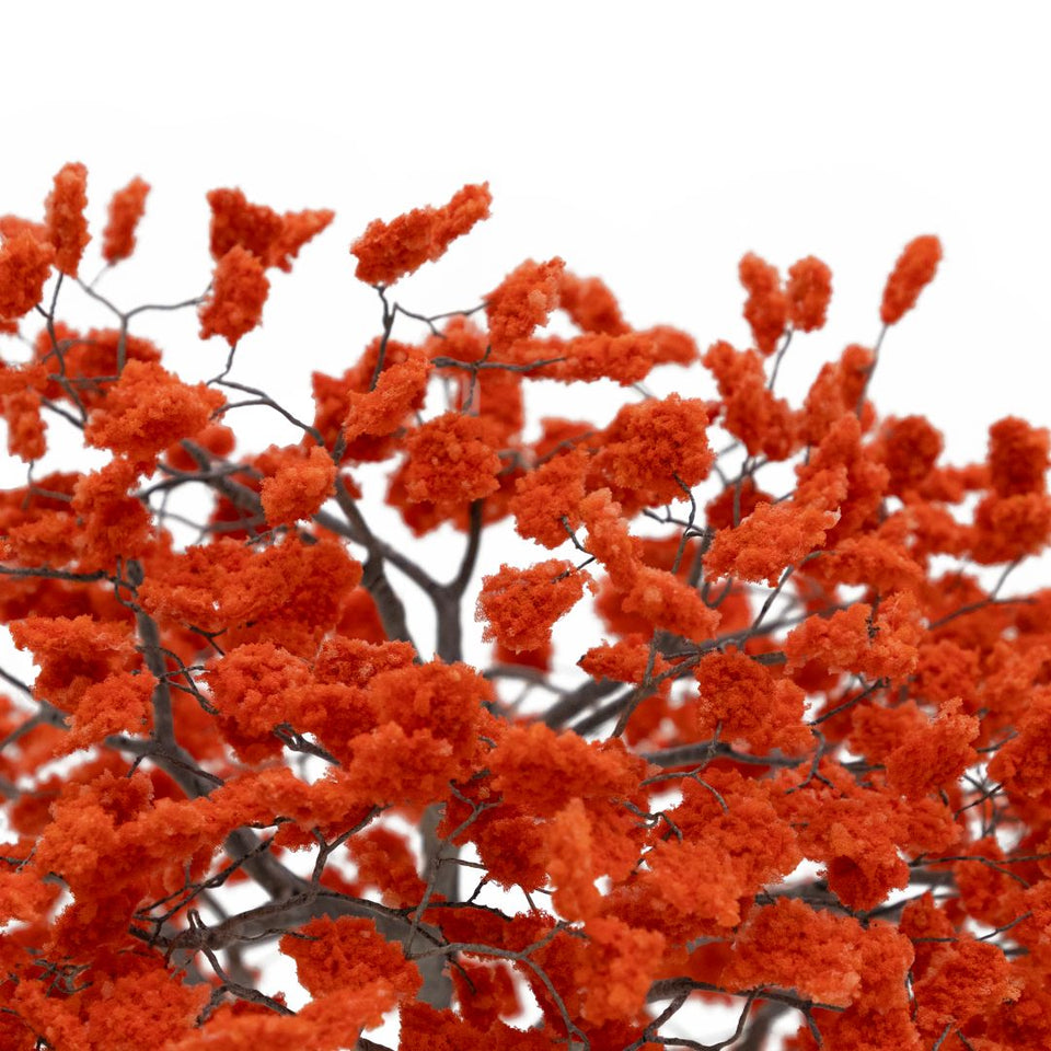 Metamorfosis de las ramas caídas (vermelho)