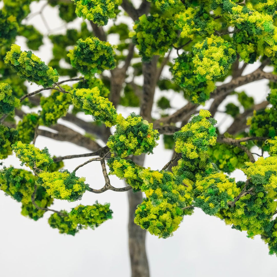 Metamorfosis de las ramas caídas (verde)