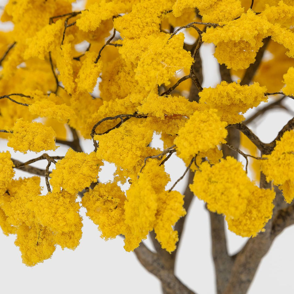 Metamorfosis de las ramas caídas (amarelo)