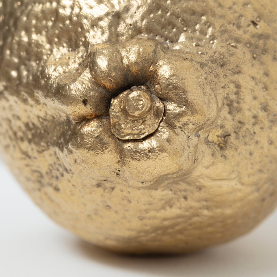 carlos nunes, objeto acrômico (limão)