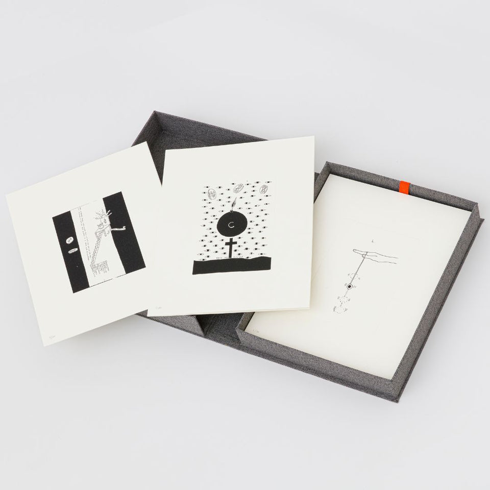 Projeto Leonilson Trinta Anos