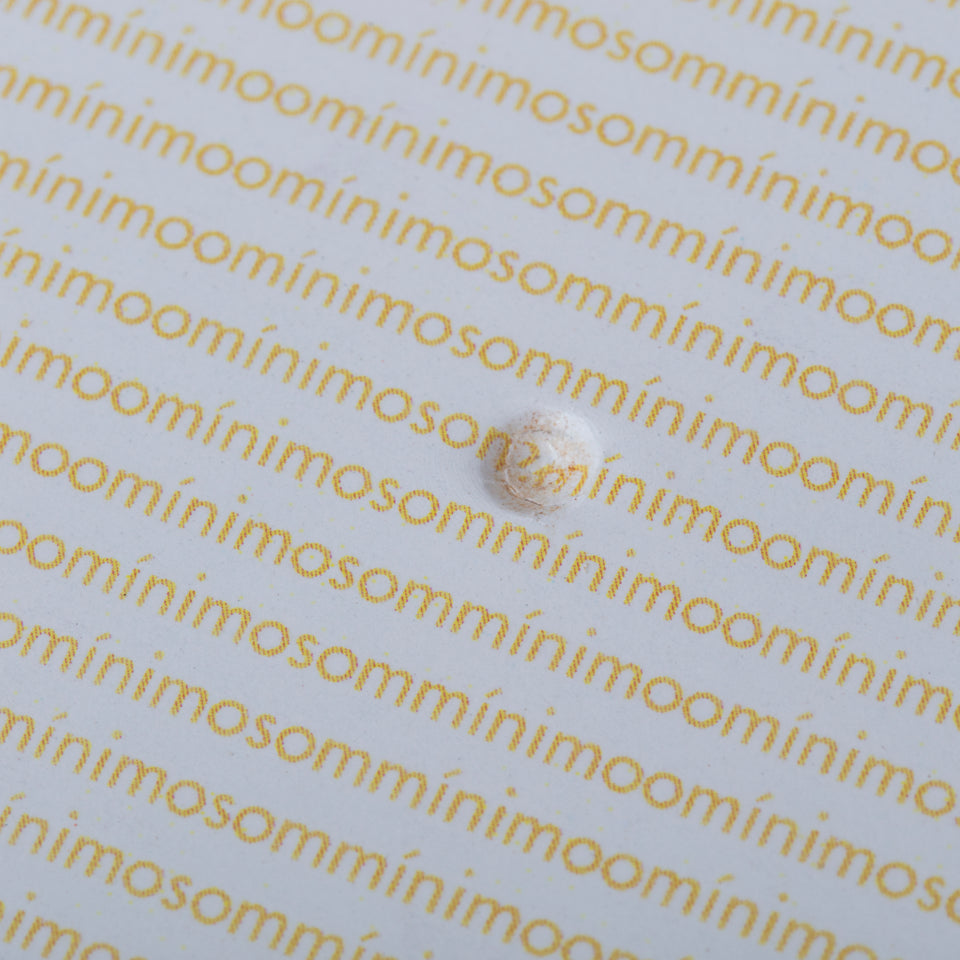 Lenora de Barros, Mínimo Som