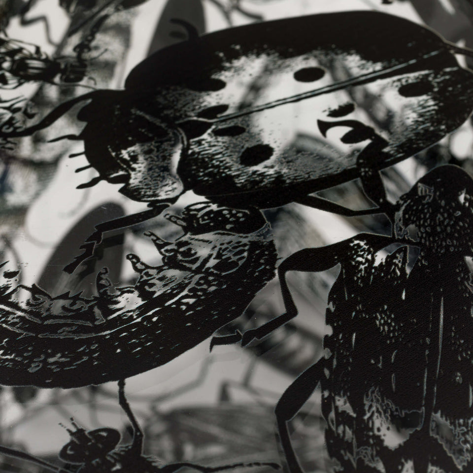 Regina Silveira, NINHO (black)