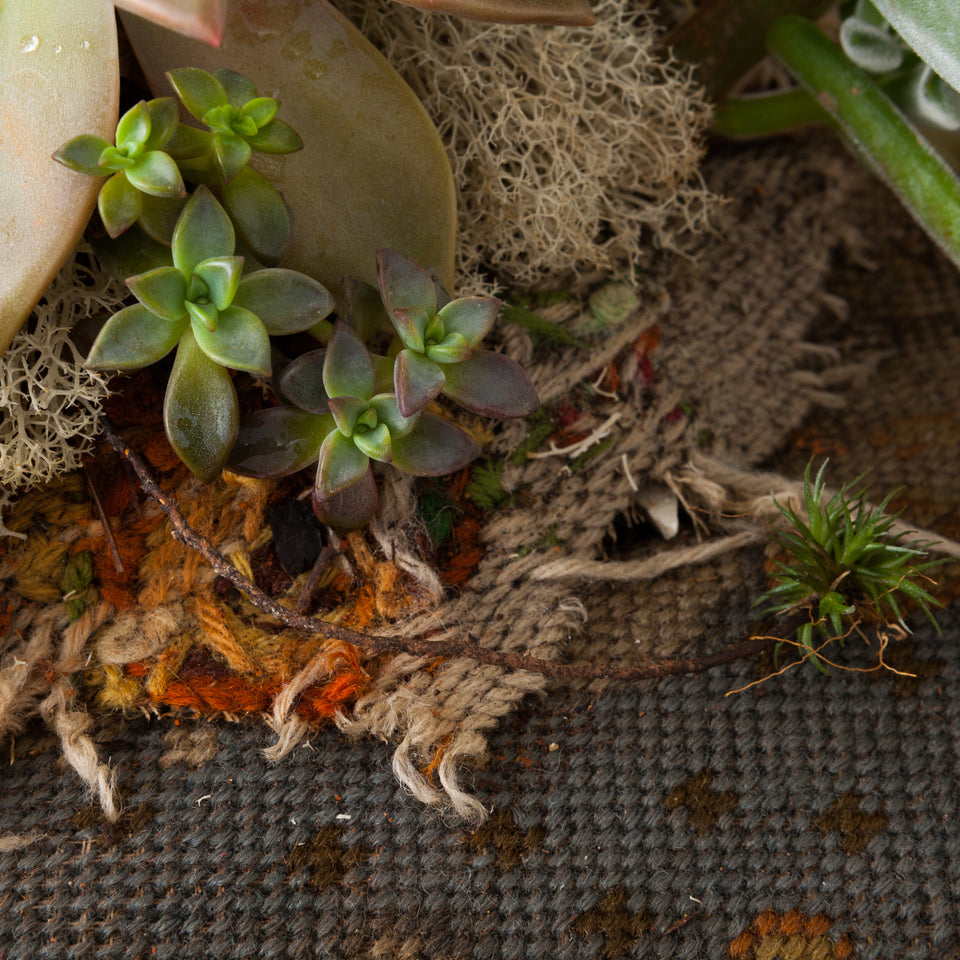 Rodrigo Bueno, Tout confort (da série mobília tomada)