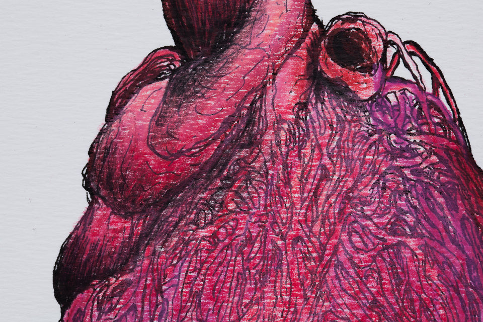 Nazareno, E Se Provou a Liberdade Uma Vez, Nada Mais o Deterá