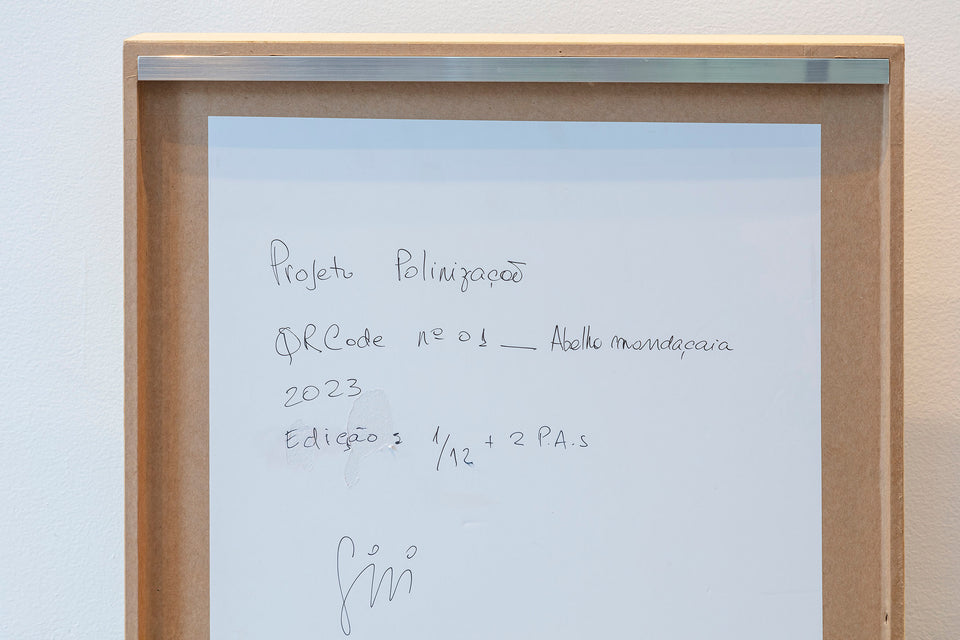 Projeto polinização - Siri
