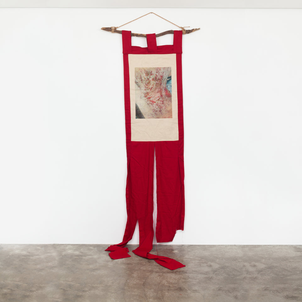 Daniel Lie, Homenagem às Chagas