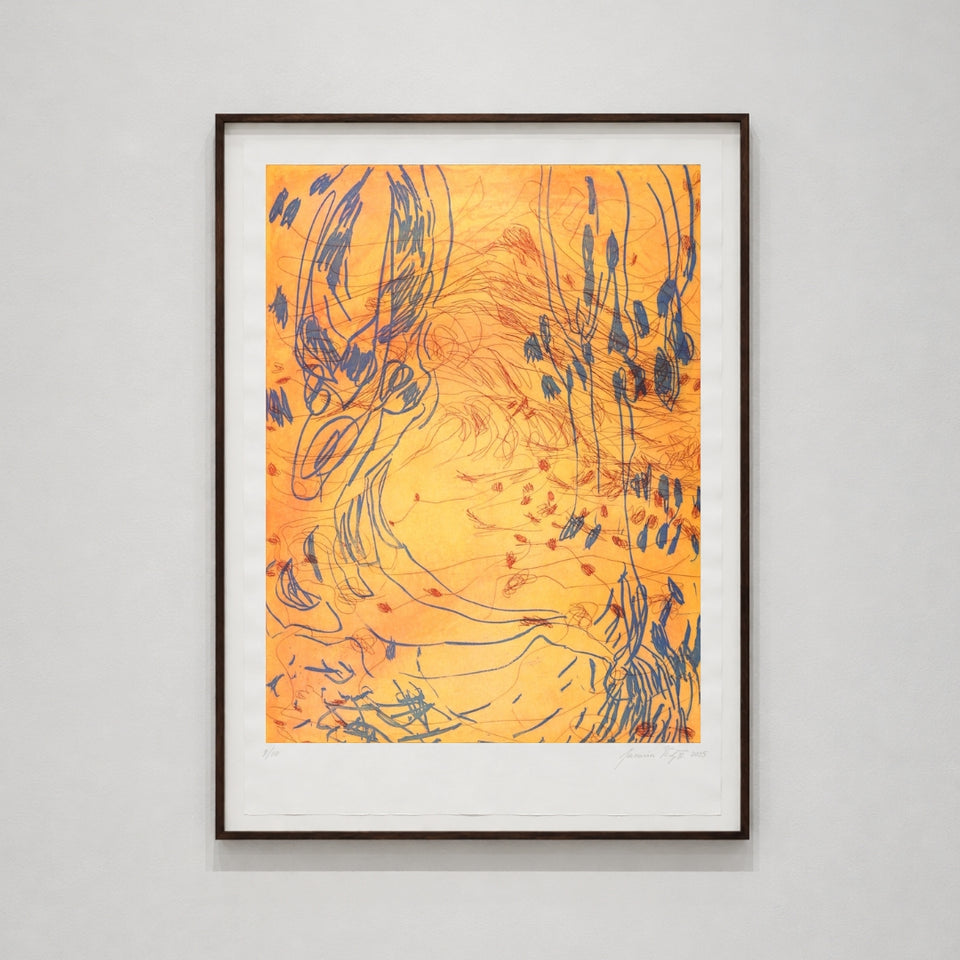Variation for landscape