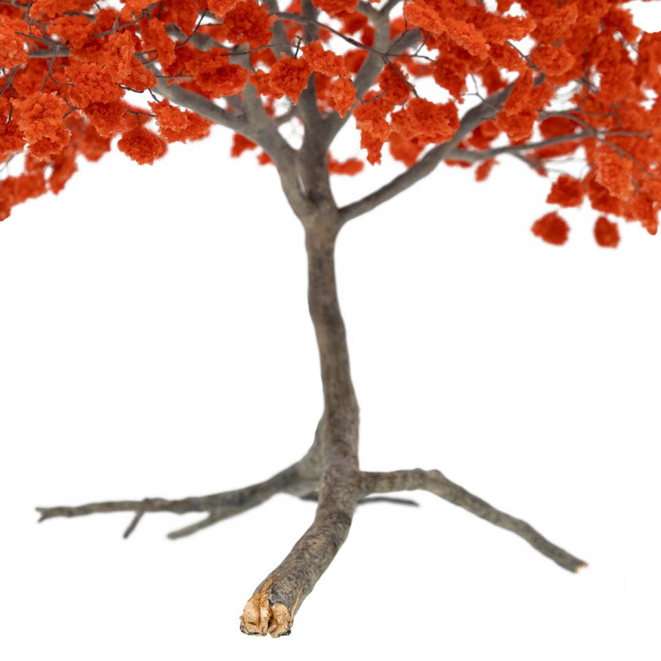 Metamorfosis de las ramas caídas (vermelho)