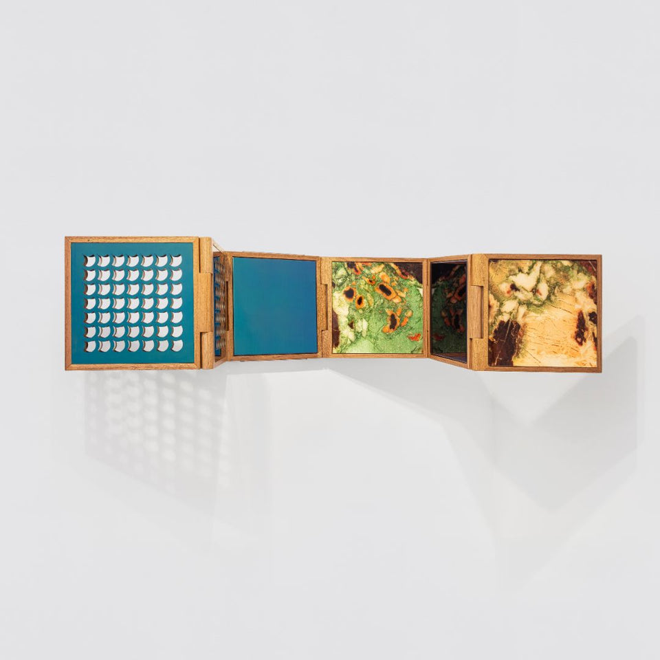 Eu e Você (da série Caixa Cobra)