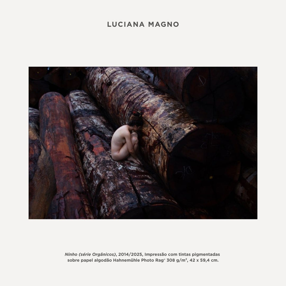 Edição Especial | Pinacoteca 120 anos