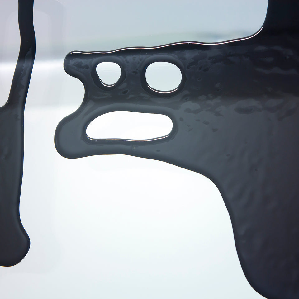 Carlito Carvalhosa, Sem título