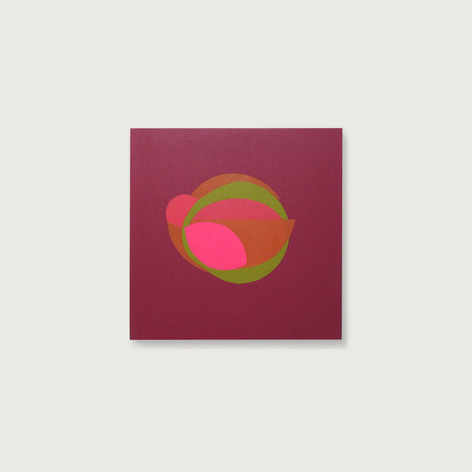 Gisele Camargo, série 