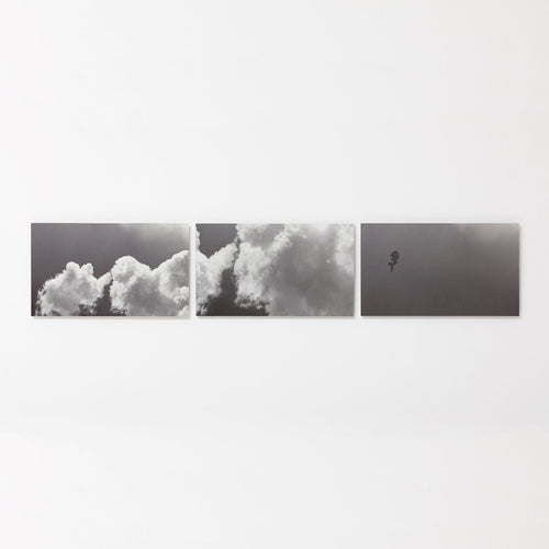 Acordo - Carbono Galeria