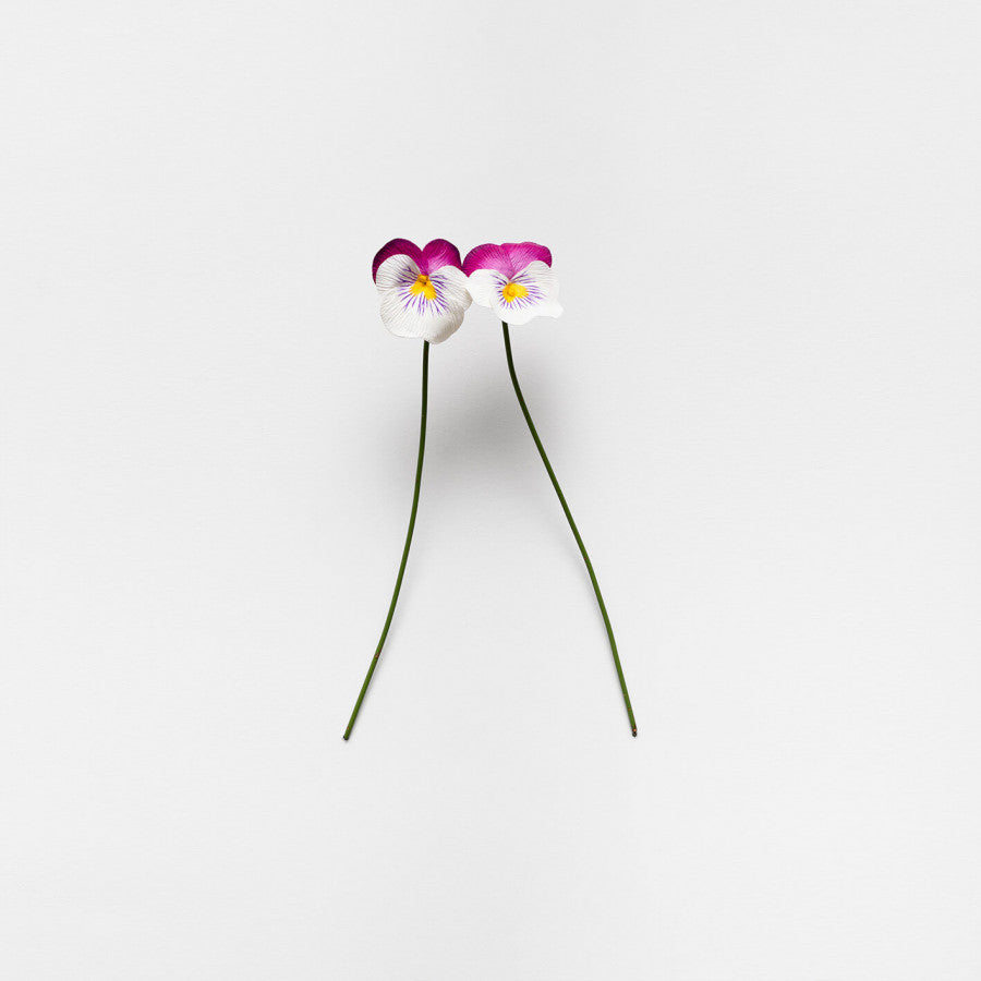 Amor perfeito - Carbono Galeria