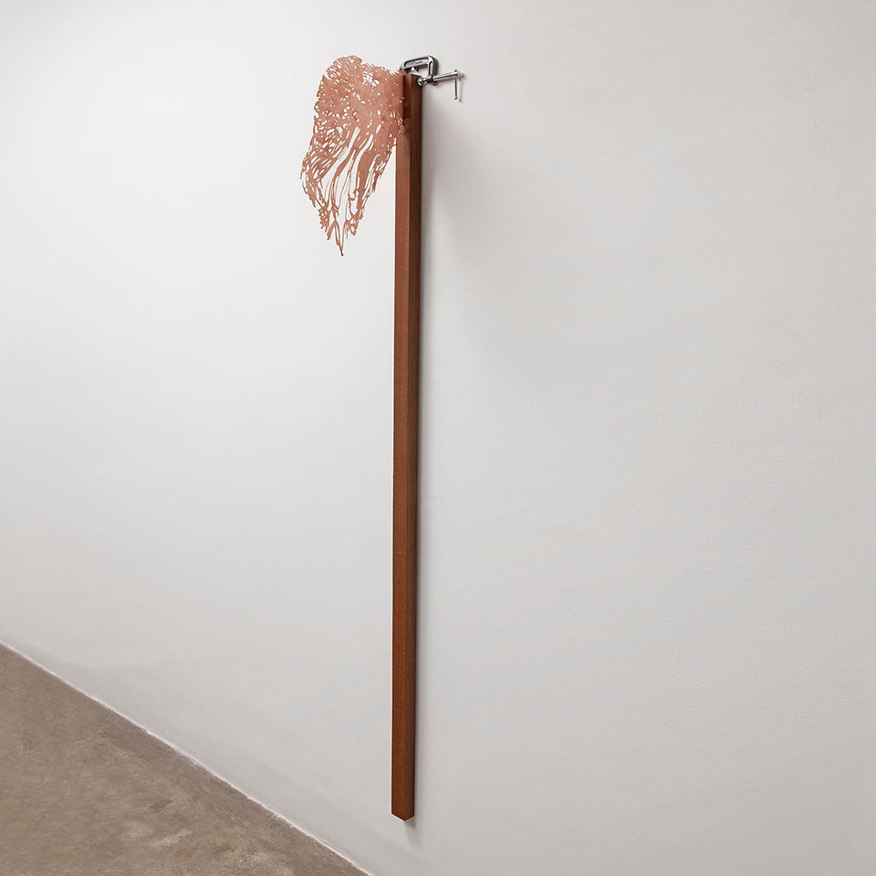 Anjo - Carbono Galeria