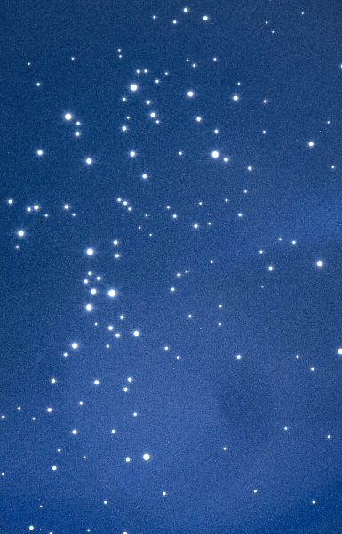 <p>MARCIA XAVIER</p>