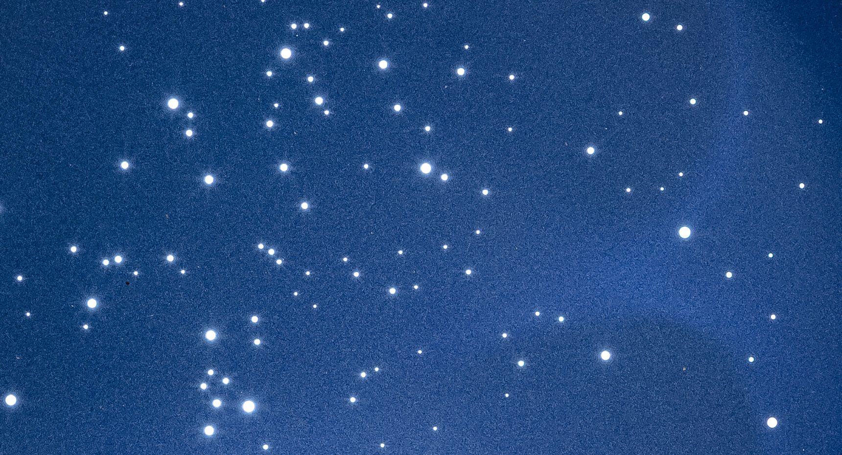 <p>MARCIA XAVIER</p>