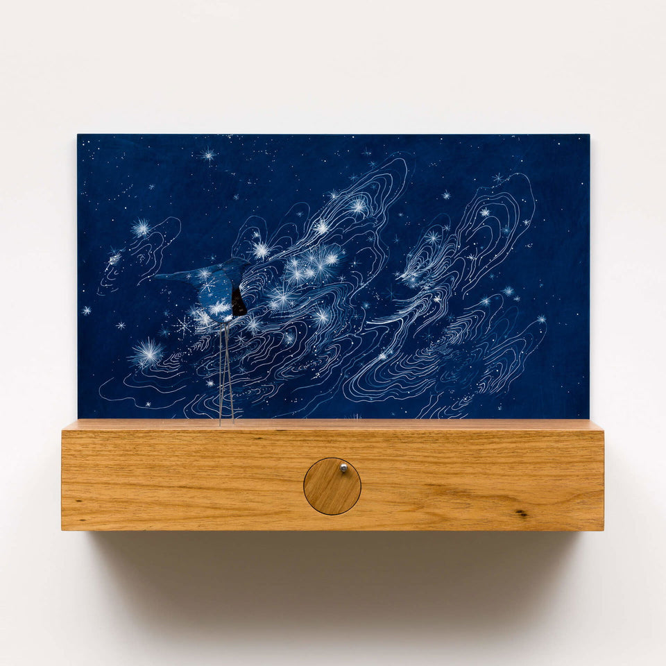 Blackbird - Carbono Galeria