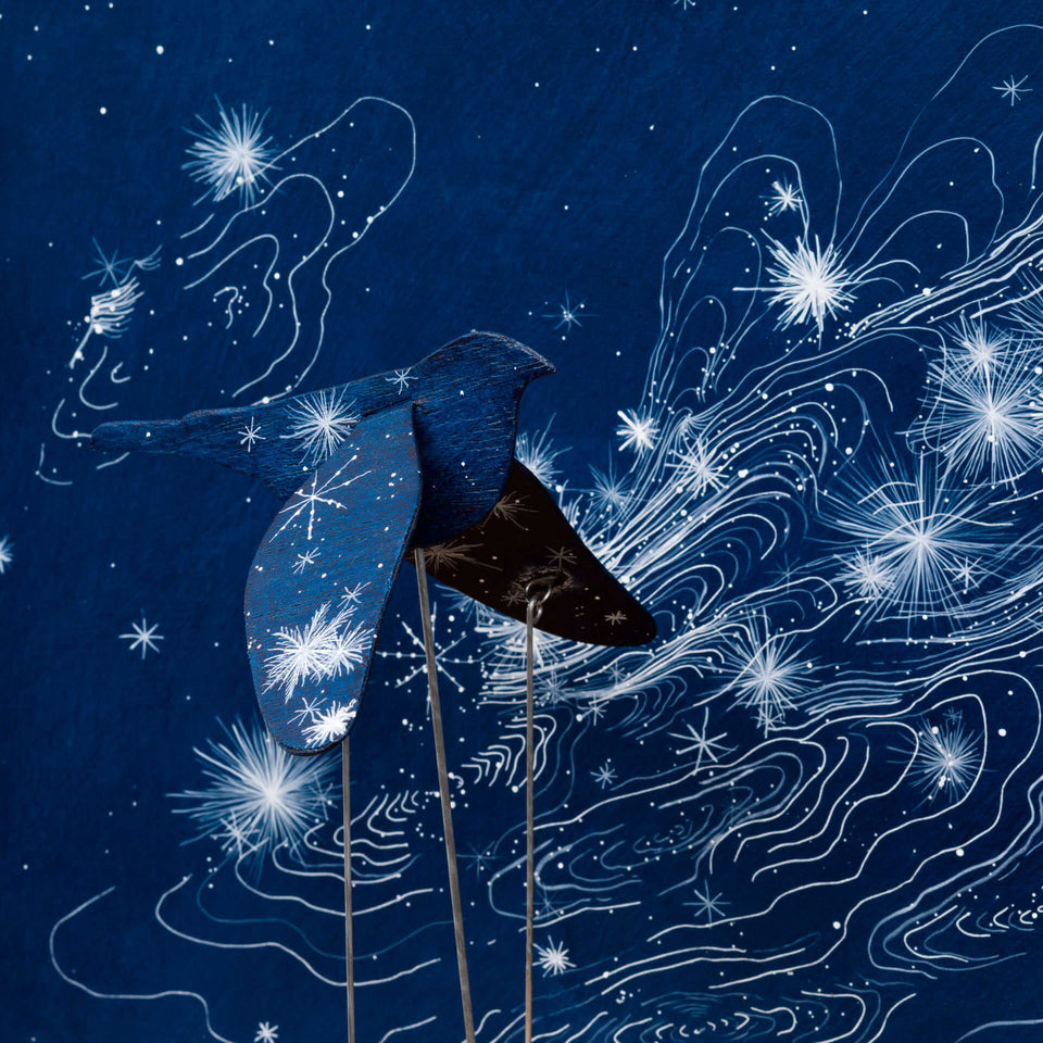 Blackbird - Carbono Galeria