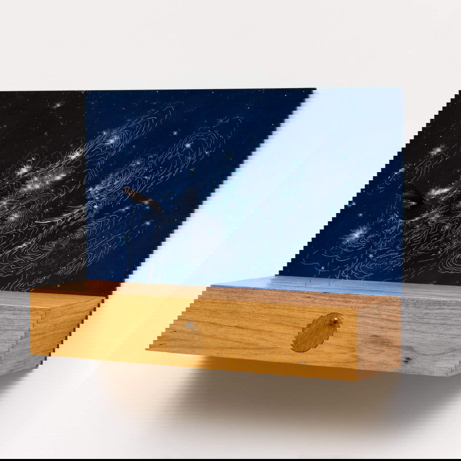 Blackbird - Carbono Galeria