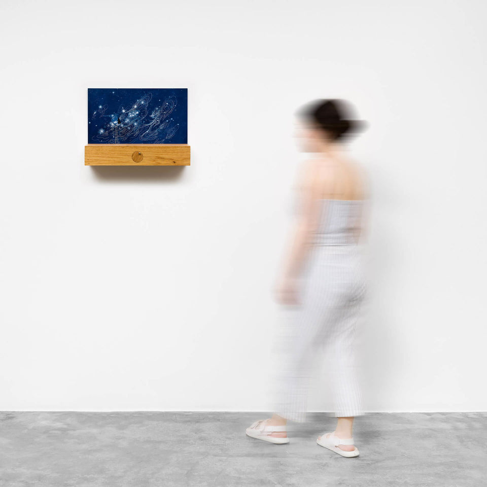 Blackbird - Carbono Galeria