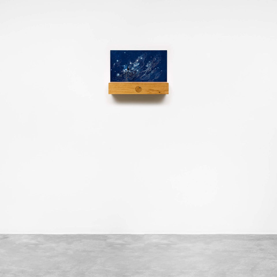 Blackbird - Carbono Galeria