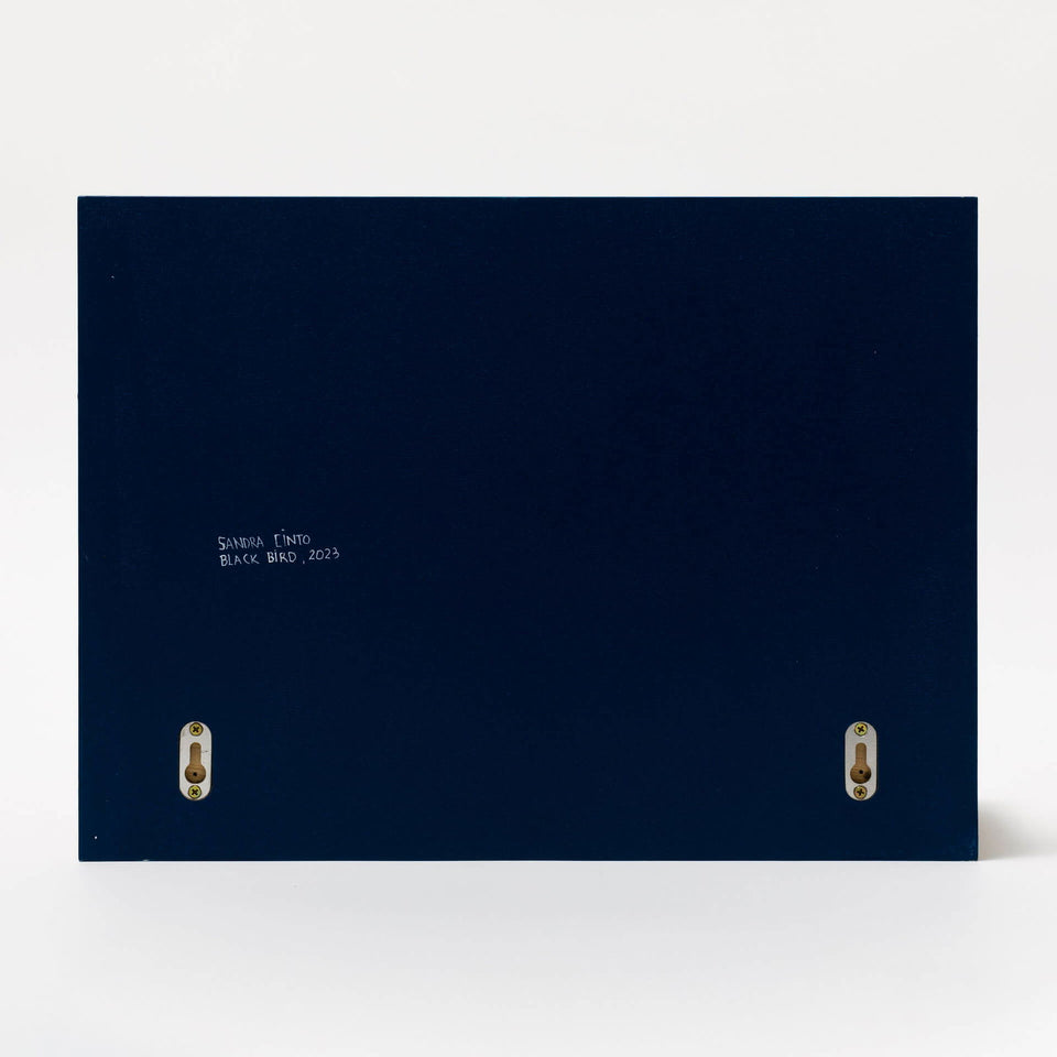 Blackbird - Carbono Galeria