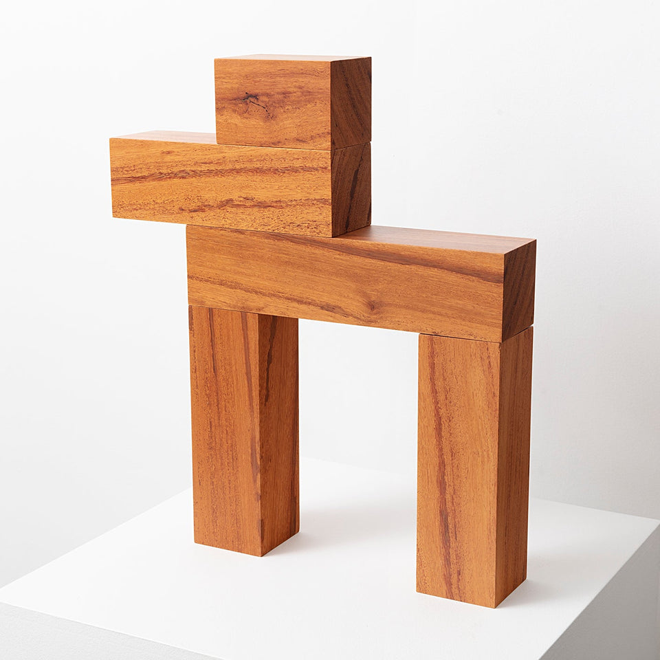 Boxer - Carbono Galeria