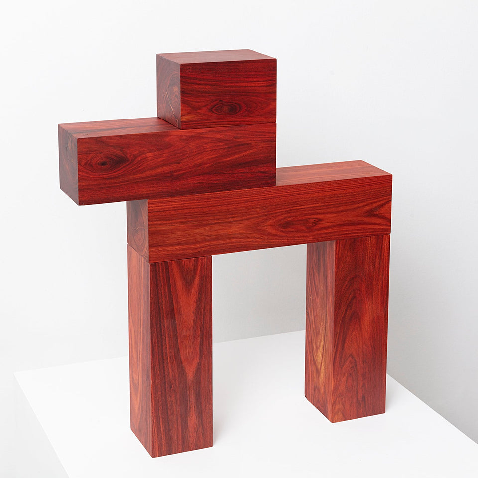 Boxer - Carbono Galeria