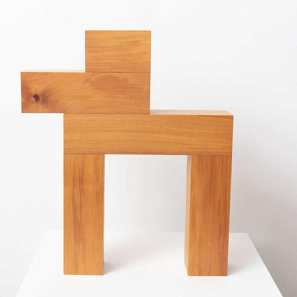 Boxer - Carbono Galeria